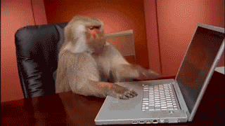 Monkey tired with typing