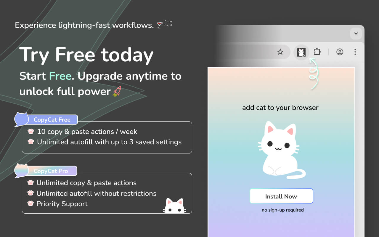 MultiField CopyCat: Web Extension for Form Autofill & Copy with Freemium Model