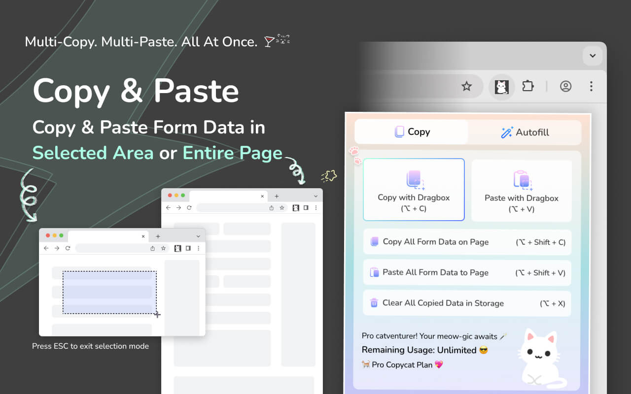 MultiField CopyCat: Web Extension to Copy & Paste Form Data in Selected Area or Entire Page