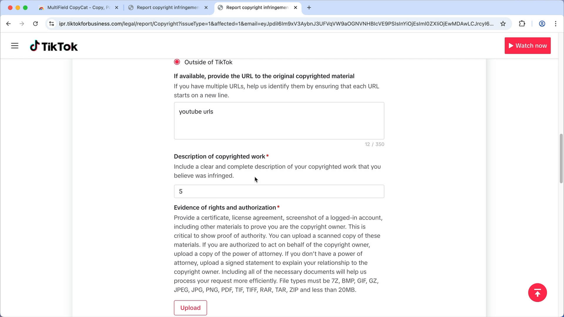Filling in the TikTok form | MultiField CopyCat
