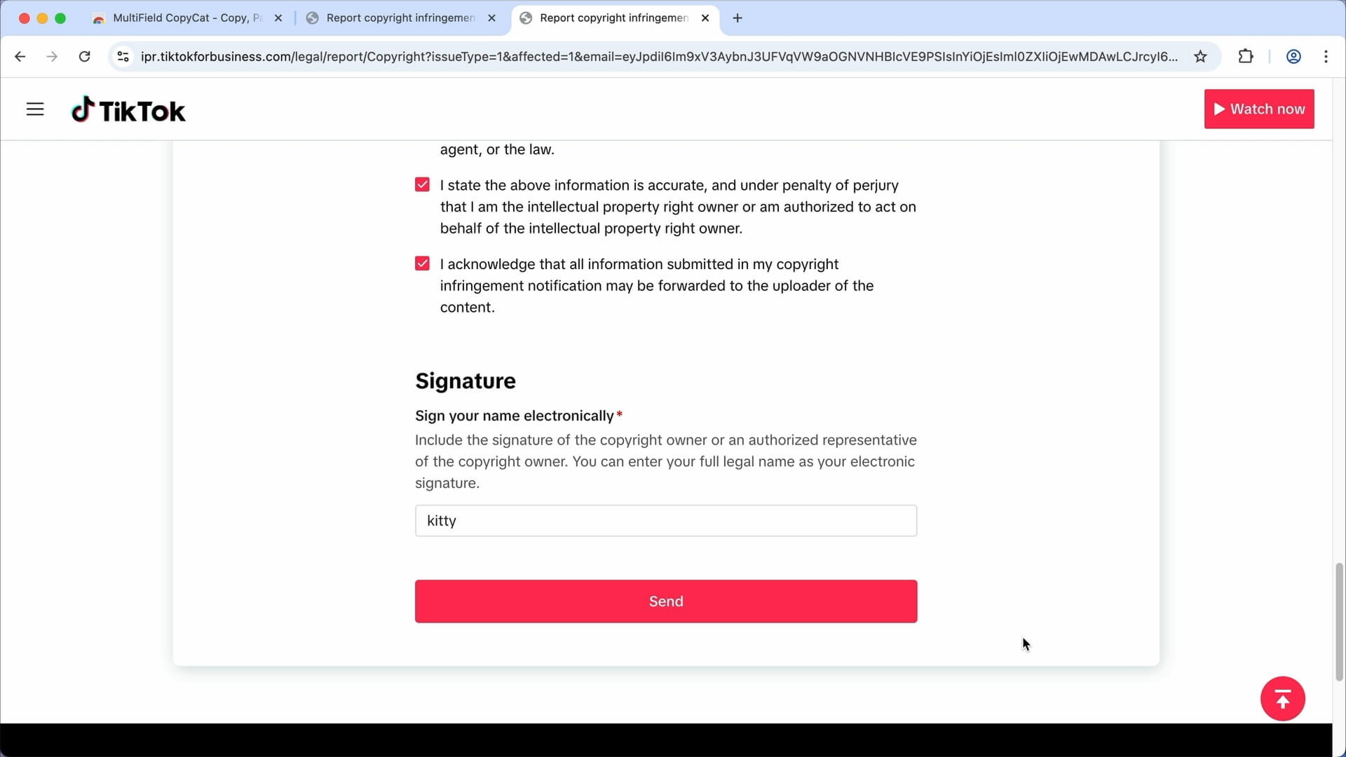 Filling in the TikTok form | MultiField CopyCat