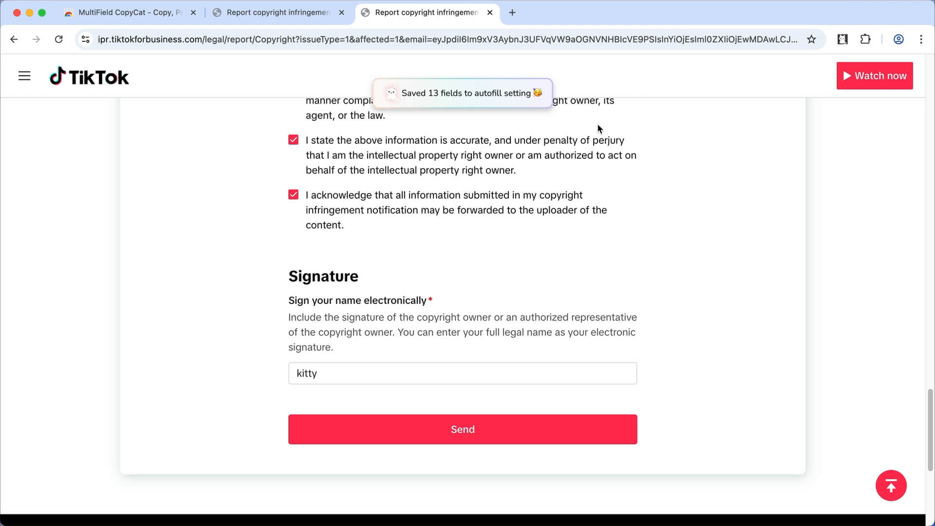 Autofill form data is now saved successfully | MultiField CopyCat