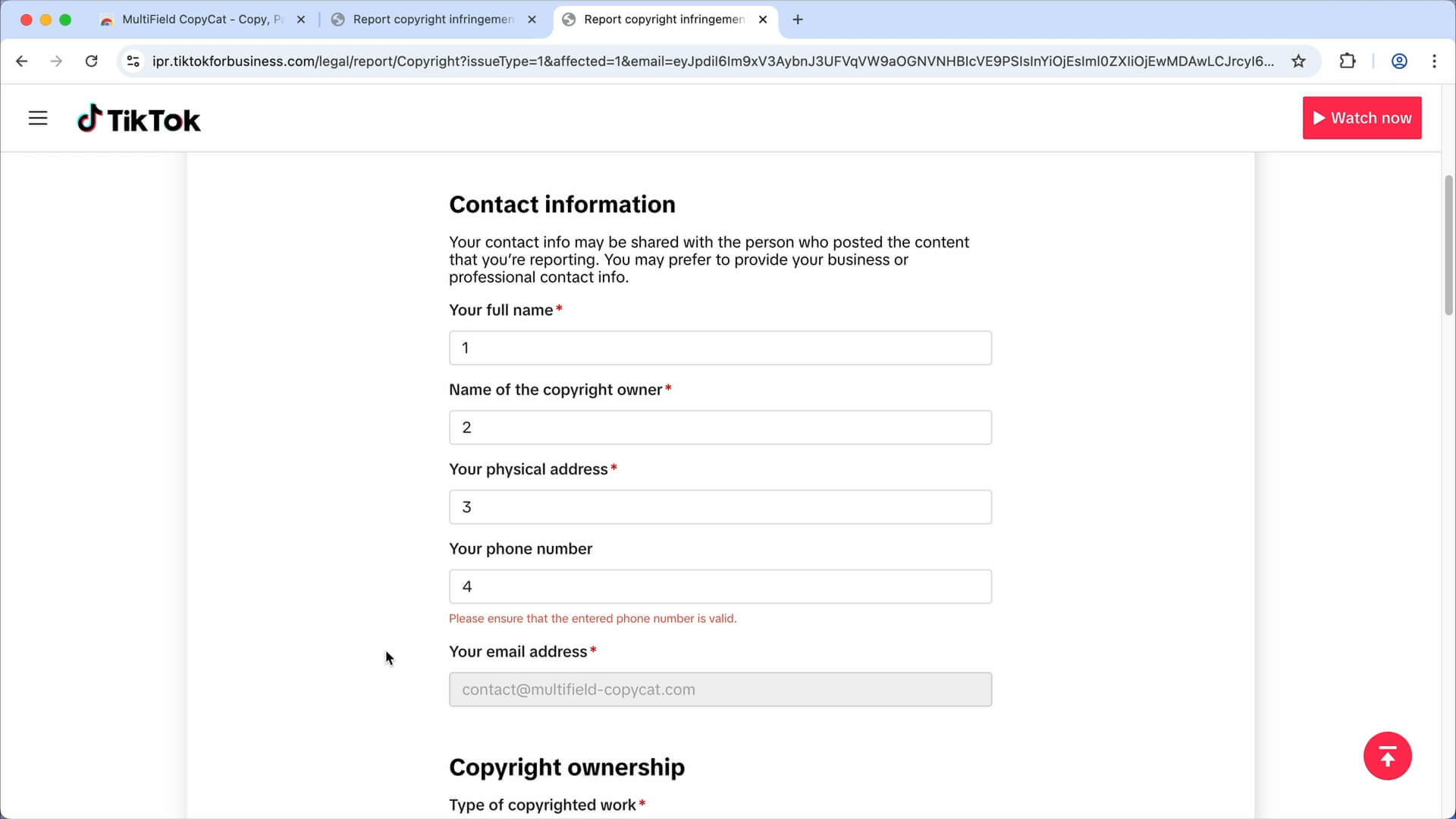 Filling in the TikTok form | MultiField CopyCat