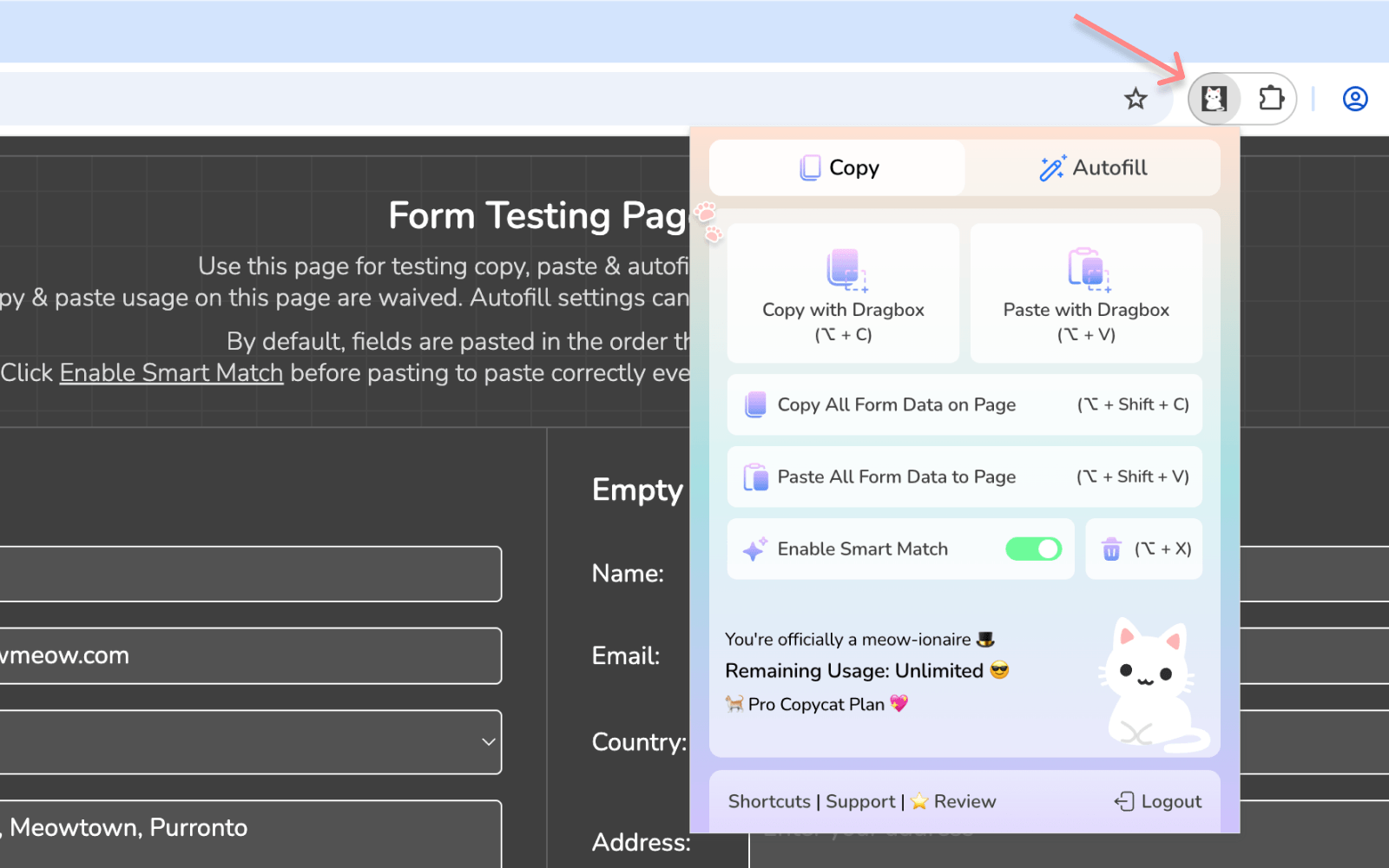 Click extension icon to open extension popup | MultiField CopyCat Form Copying Extension