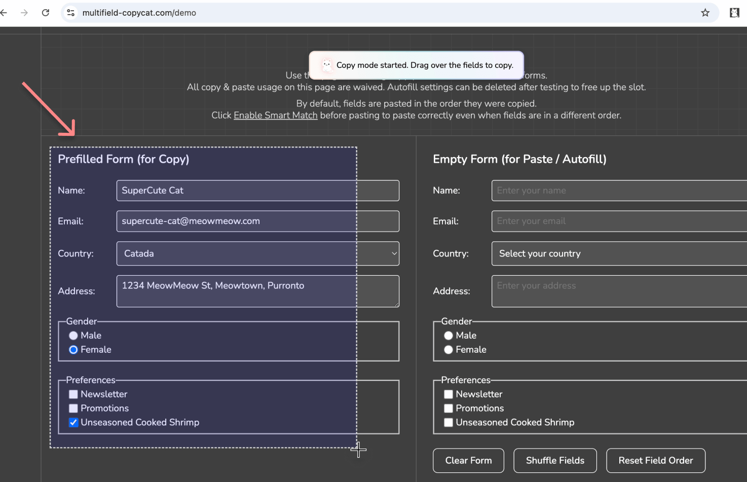 Drag over the form fields to select fields you want to copy | MultiField CopyCat Form Copying Extension