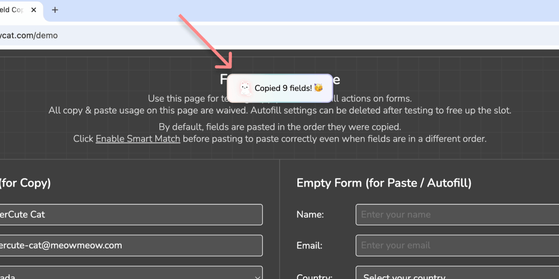Copied success with copied field count | MultiField CopyCat Form Copying Extension