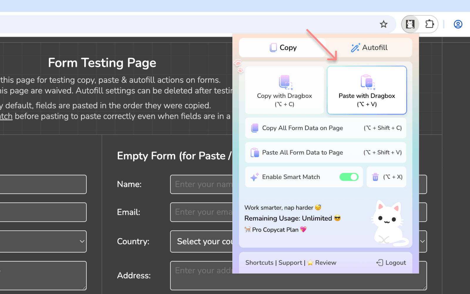 Click 'Paste with Dragbox' button to enter Paste Mode | MultiField CopyCat Chrome Extension