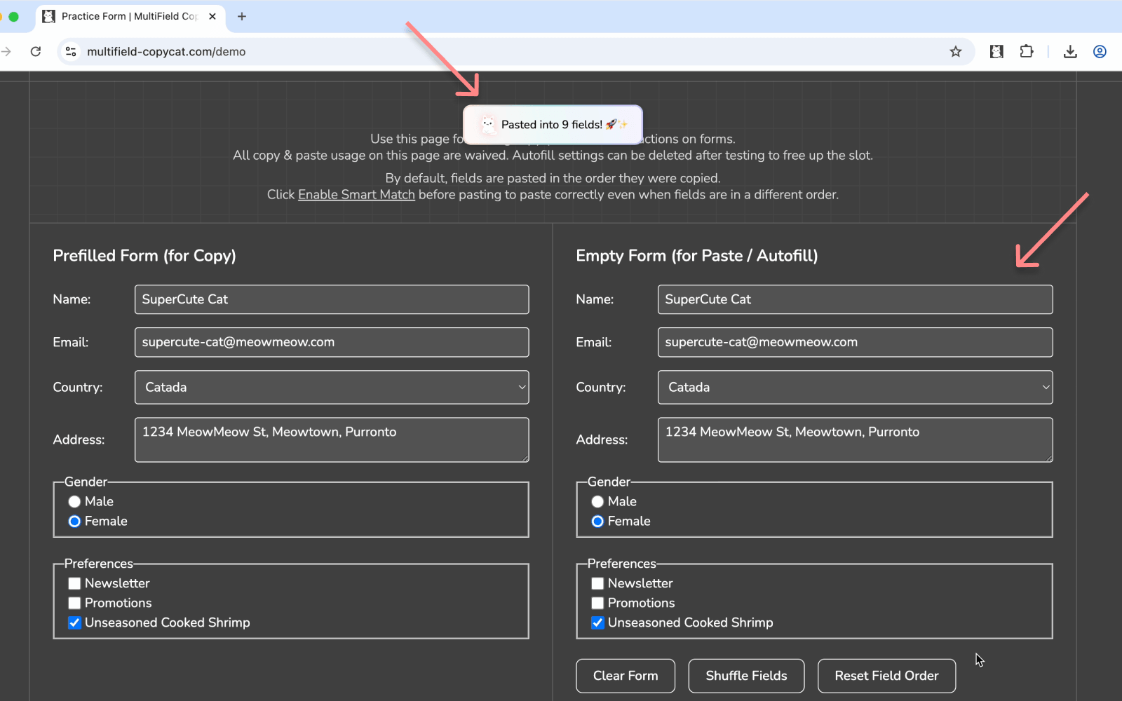 Copied fields are now pasted successfully | MultiField CopyCat Chrome Extension