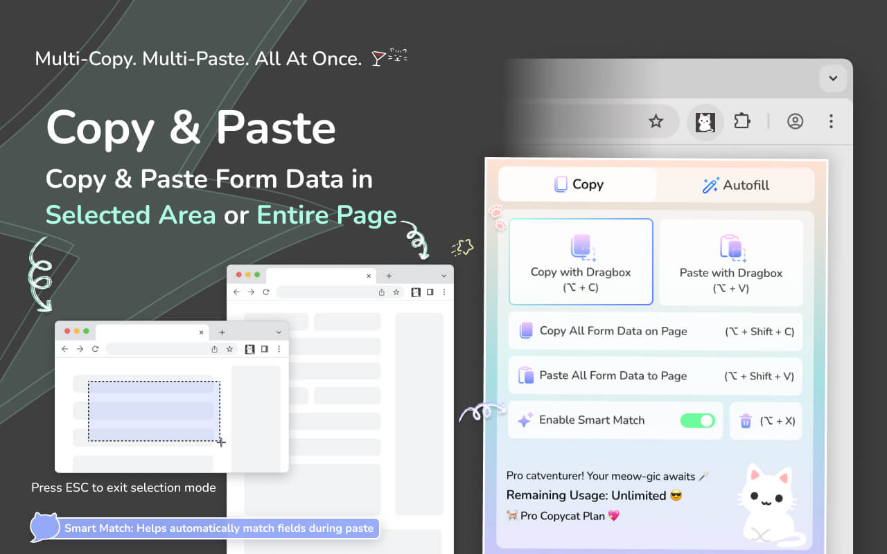 MultiField CopyCat: Best Chrome Extension to Copy & Paste Form Data in Selected Area or Entire Page